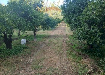 Giardino - Terreno agricolo Via Albero San Filippo
 
snc, Piedimonte Etneo - foto 1