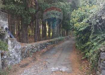 Giardino - Terreno agricolo Via Albero San Filippo
 
snc, Piedimonte Etneo - foto 7