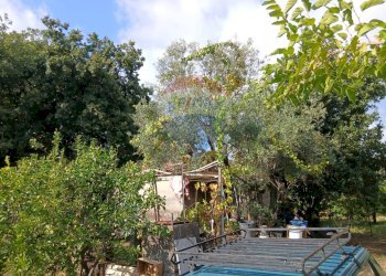 Piscina - Terreno agricolo Via Albero San Filippo
 
snc, Piedimonte Etneo - foto 9