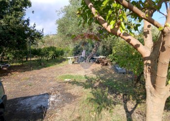 Giardino - Terreno agricolo Via Albero San Filippo
 
snc, Piedimonte Etneo - foto 10