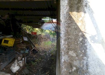 Giardino - Terreno agricolo Via Albero San Filippo
 
snc, Piedimonte Etneo - foto 15