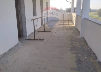 Terrazza - Casa indipendente Aprilia - foto 6