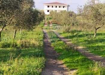 Giardino - Casa indipendente Aprilia - foto 13