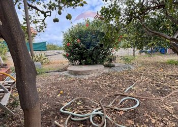 Giardino - Villa c.da cozzo filonero
 
4, Augusta - foto 6