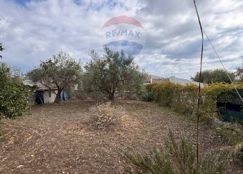 Giardino - Villa c.da cozzo filonero
 
4, Augusta - foto 14