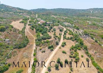 Foto 63 - Villa Liscia di Scopa
 
SNC, Santa Teresa Gallura - foto 63