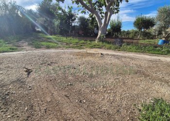 Foto 10 - Villa Marcianise - foto 10