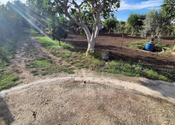 Foto 12 - Villa Marcianise - foto 12