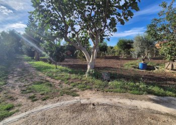 Foto 13 - Villa Marcianise - foto 13