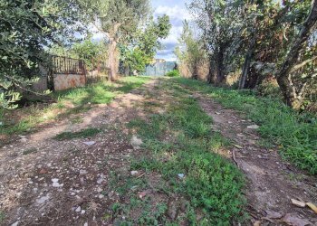 Foto 16 - Villa Marcianise - foto 16