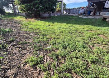 Foto 17 - Villa Marcianise - foto 17