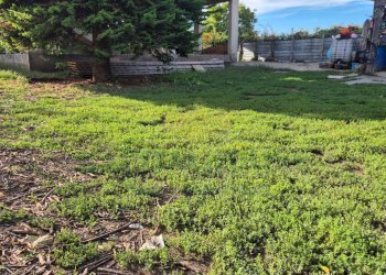 Foto 18 - Villa Marcianise - foto 18