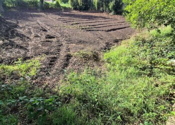 Foto 21 - Villa Marcianise - foto 21