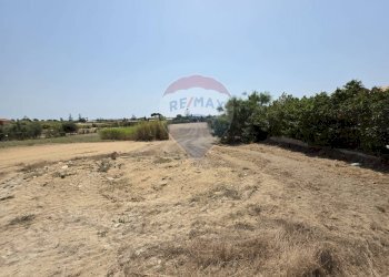 Giardino - Terreno agricolo via delle rose
 
sn, Ispica - foto 3