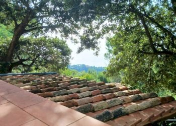 Vista - Villa Località Calapiccola, Monte Argentario - foto 6