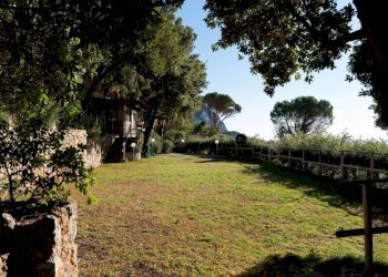 Terreno - Villa Località Calapiccola, Monte Argentario - foto 10