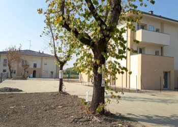 Zona - Quadrilocale San Giovanni in Persiceto - foto 2