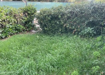 Giardino - Villa via Firenze, Pieve Fissiraga - foto 39