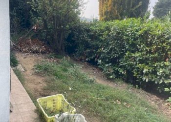 Giardino - Villa via Firenze, Pieve Fissiraga - foto 46