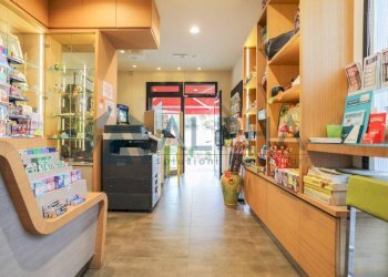 Interno non residenziale - Bar - Tabacchi - Ricevitoria viale della Libertà, 61, Predappio - foto 1