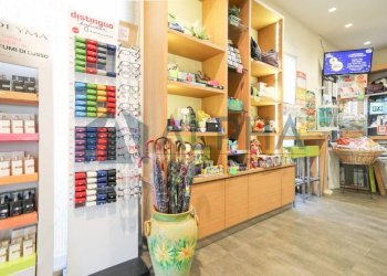 Interno non residenziale - Bar - Tabacchi - Ricevitoria viale della Libertà, 61, Predappio - foto 4