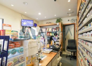 Interno non residenziale - Bar - Tabacchi - Ricevitoria viale della Libertà, 61, Predappio - foto 6