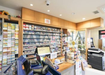 Interno non residenziale - Bar - Tabacchi - Ricevitoria viale della Libertà, 61, Predappio - foto 8