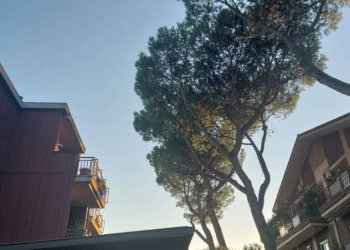 Zona - Trilocale via Gravina di Puglia, Roma - foto 22