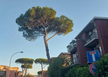 Zona - Trilocale via Gravina di Puglia, Roma - foto 23