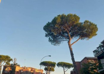 Zona - Trilocale via Gravina di Puglia, Roma - foto 24