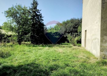 Giardino - Casa indipendente Via Argine Po
 
36, Sermide e Felonica - foto 5