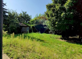 Giardino - Casa indipendente Via Argine Po
 
36, Sermide e Felonica - foto 9