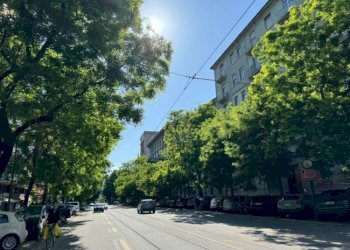 Foto 6 - Shop Via Andrea Solari, Milano - photo 6