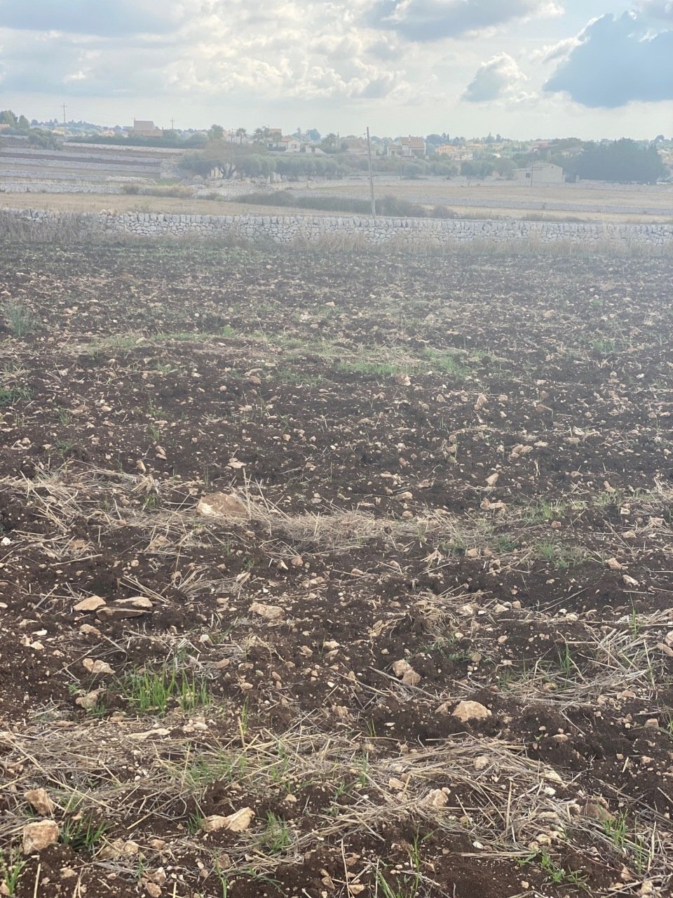 IMG_1069.jpg - Rustic Via Vanella 165, Modica - photo 3