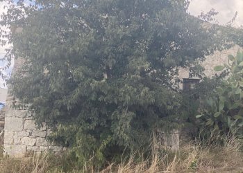 IMG_1068.jpg - Rustico Via Vanella 165, Modica - foto 2