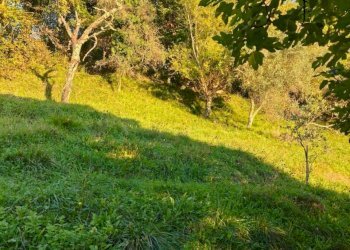 IMG-20251003-WA0044.jpg - Villa Fivizzano - foto 6