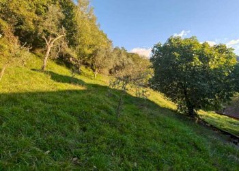 IMG-20251003-WA0045.jpg - Villa Fivizzano - foto 7