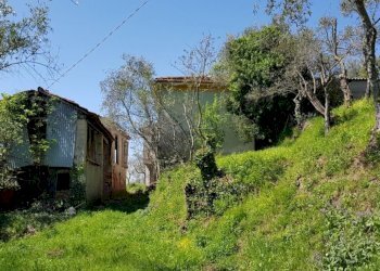 IMG-20180419-WA0052.jpg - Rustic Fosdinovo - photo 5