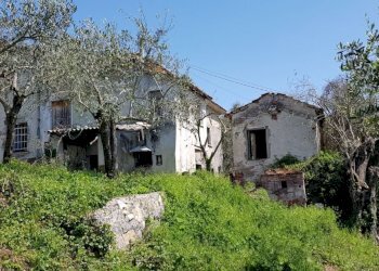 IMG-20180419-WA0046.jpg - Rustic Fosdinovo - photo 6