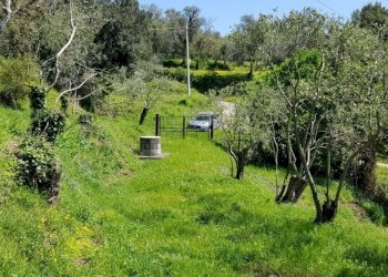 IMG-20180419-WA0033.jpg - Rustic Fosdinovo - photo 9