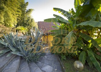 _6MX5207.jpg - Villa Ghiffa - photo 11