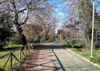 pista ciclabile.jpg - Bilocale VIA NAZIONALE, Civitanova Marche - foto 7