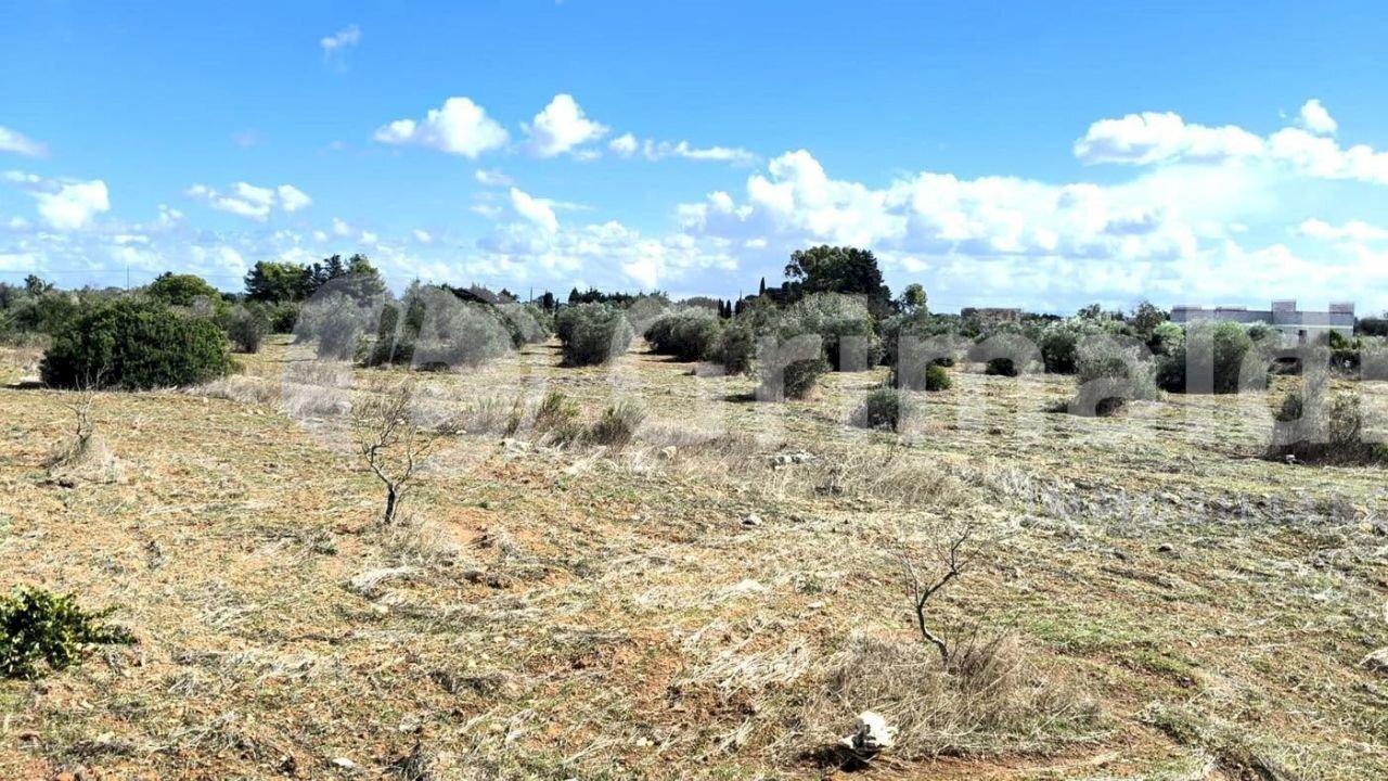 imgviewer (1).jpg - Agricultural land Strada Statale 274, Gallipoli - photo 1