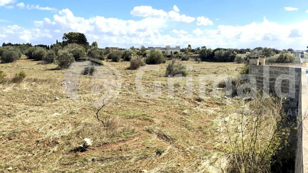 imgviewer (2).jpg - Agricultural land Strada Statale 274, Gallipoli - photo 2