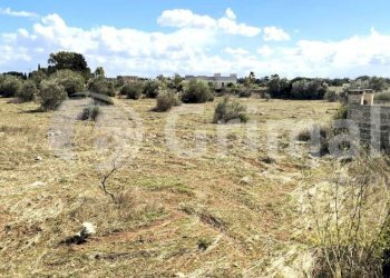 imgviewer (2).jpg - Agricultural land Strada Statale 274, Gallipoli - photo 2