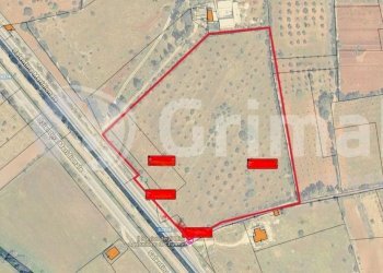 imgviewer (5).jpg - Agricultural land Strada Statale 274, Gallipoli - photo 5