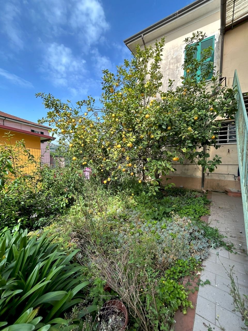 WhatsApp Image 2024-04-29 at 16.04.04.jpeg - Portion of a house Sarzana - photo 3