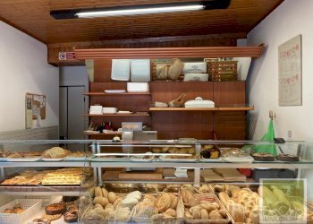 Shop Via Casine di Paterno, 114, Ancona (neighborhood Casine di Paterno) - photo 2