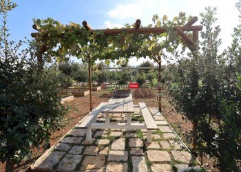 Independent house Via Alberobello, Martina Franca - photo 19