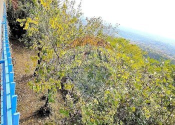 Villa Strada Maddalena, 59 
 Revigliasco, Moncalieri - photo 82
